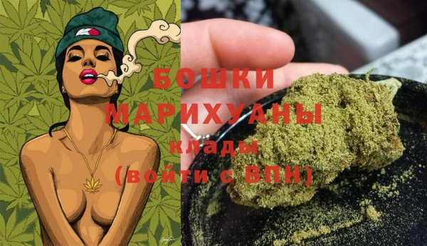 молекула духа Бронницы