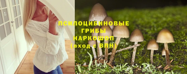 молекула духа Бронницы